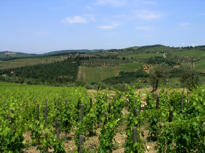 Chianti region