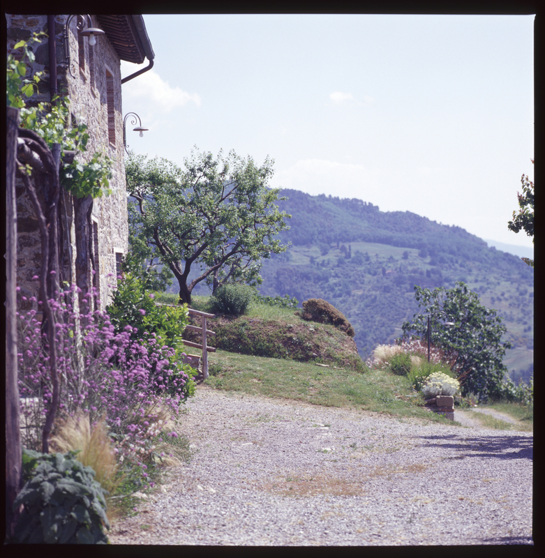 tuscan hills