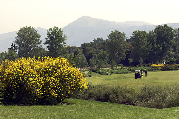 pavoniere06