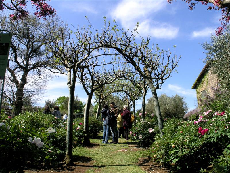 Cottage garden Tuscany