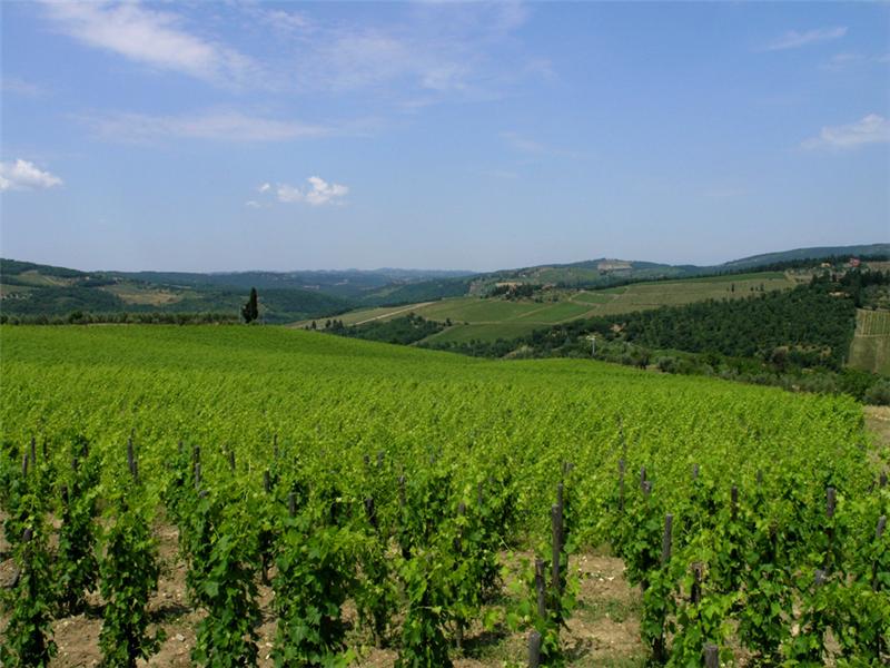 chianti