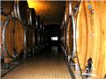 Chianti Barrels