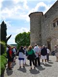 Group - Guided Tour