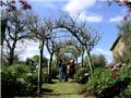 Cottage garden Tuscany