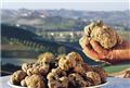truffle tuscany
