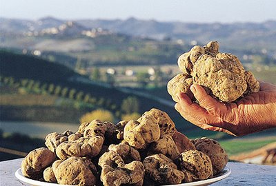 truffle tuscany