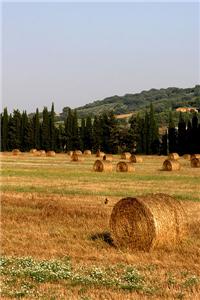 Maremma Nature Park02