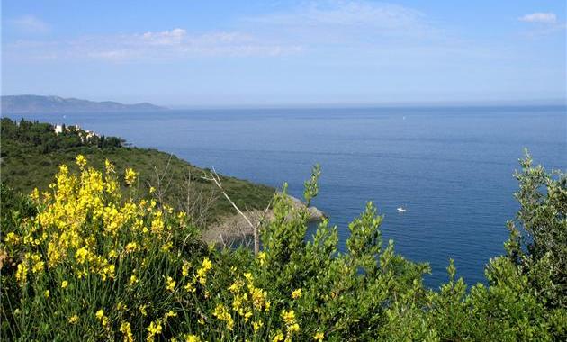 maremma